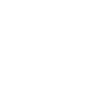 Adobe Firefly logo