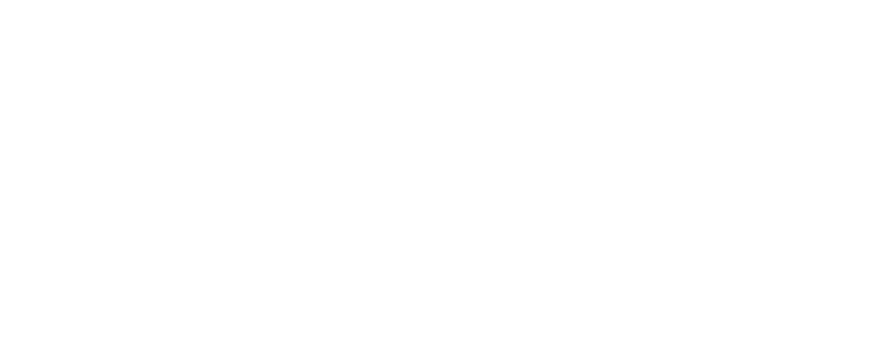 Flow logo