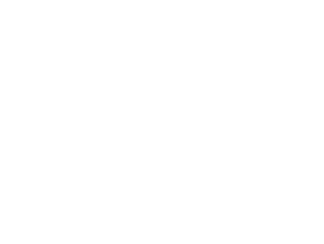 Visual Electric logo